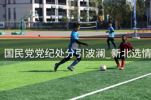 国民党党纪处分引波澜 新北选情恐生变